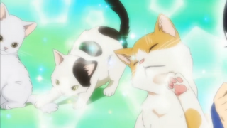 3fdcda881d11460d594a819a17296679.png
